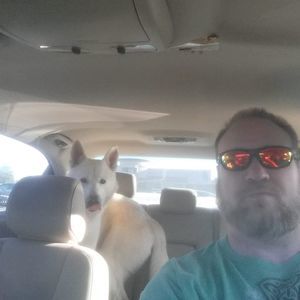 Meet your Posher, Ken